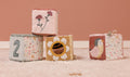 Jucarie pentru copii-Set de 4 cuburi senzoriale pentru bebelusi -  Flowers & Butterflies - Little Dutch